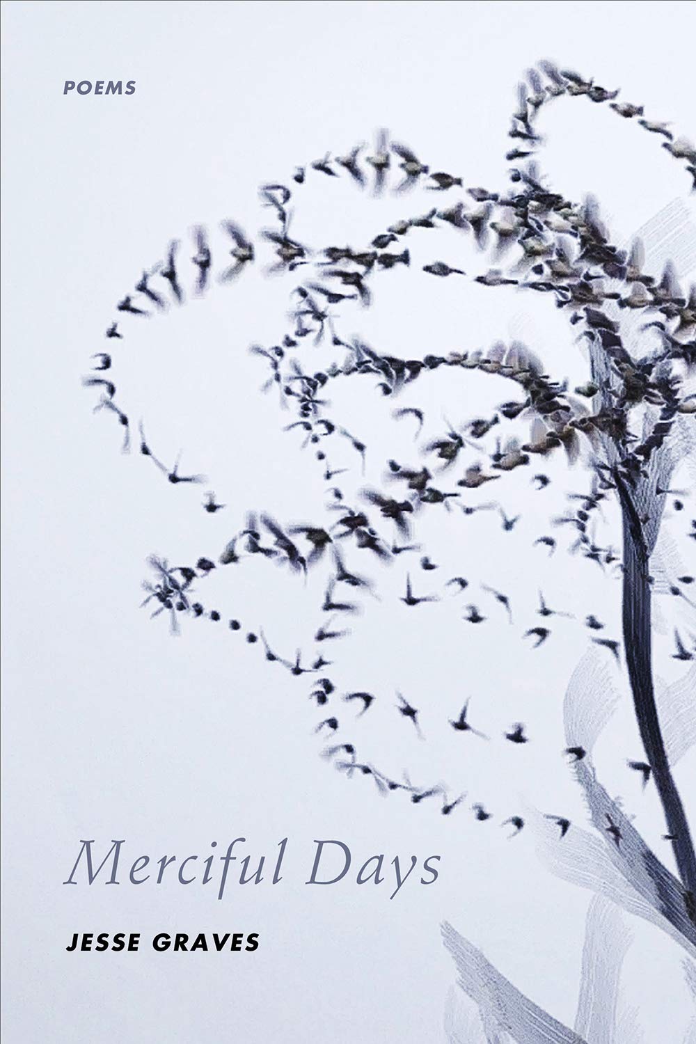 Merciful Days cover